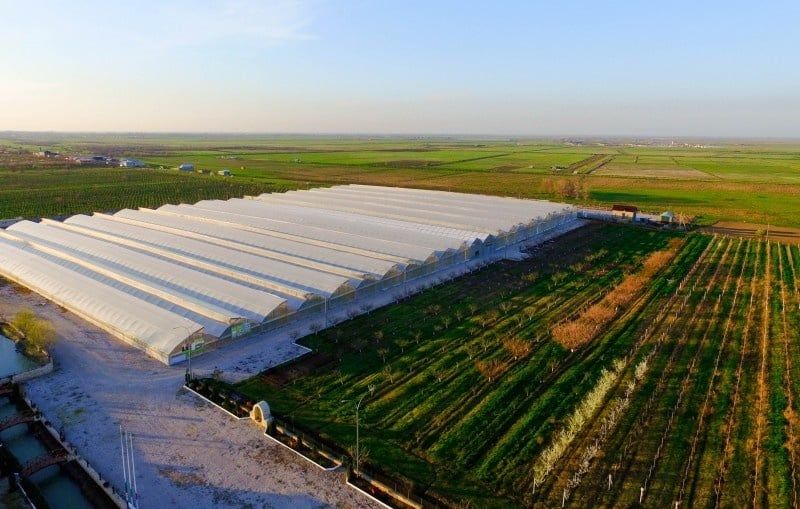 ФСК ЕЭС обеспечила 75 МВт мощности одному из крупнейших тепличных комплексов Северного Кавказа